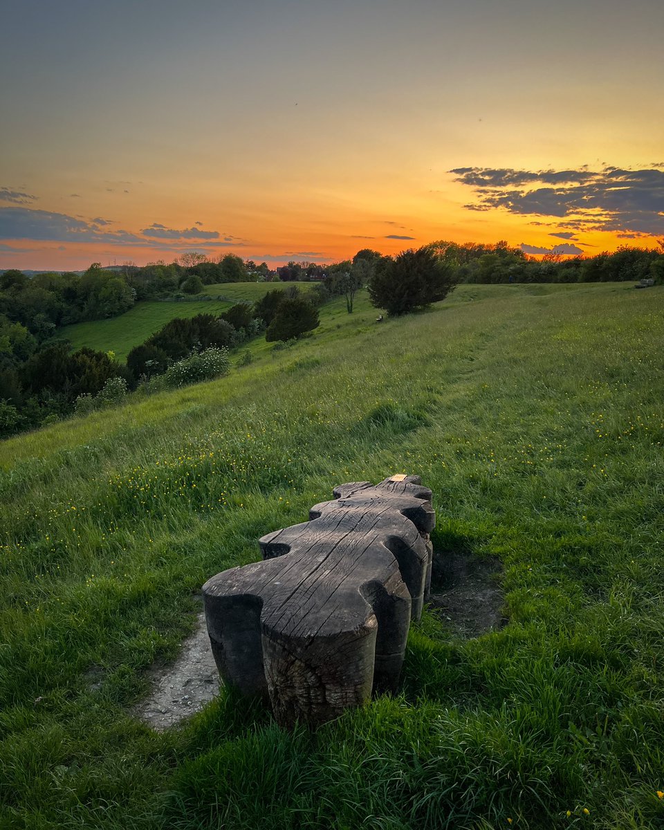 Sunset on Pewley Down, Guildford from earlier this week. #theguildfordian #guildford #surrey #guildfordsurrey #guildfordphotography #visitguildford #visitsurrey #pewleydown #sunset #englishcountryside #landscapephotography #igerssurrey #shotoniphone