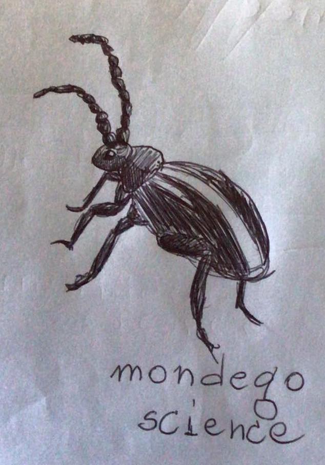 Mondego Science tweet media