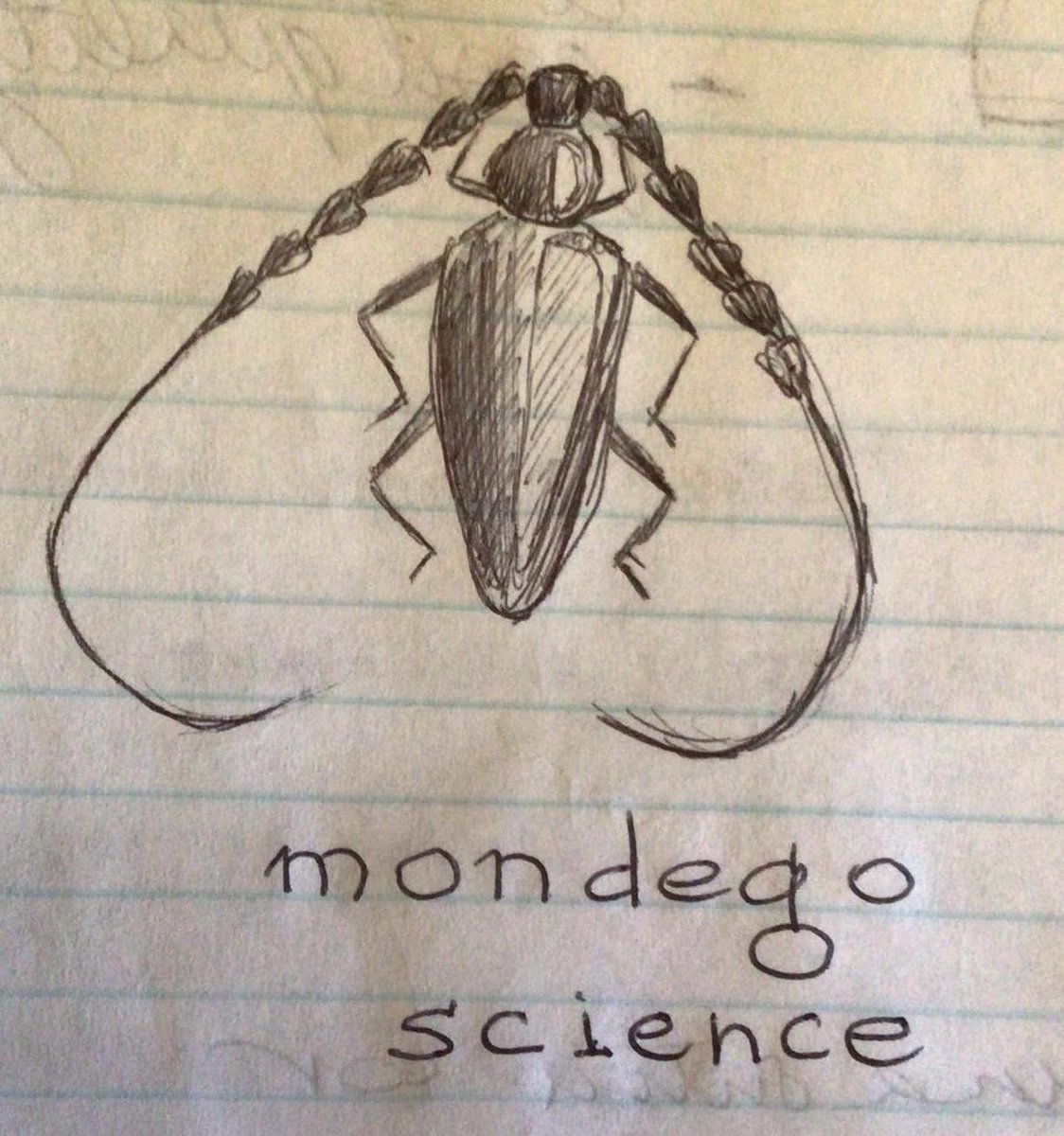 Mondego Science tweet media