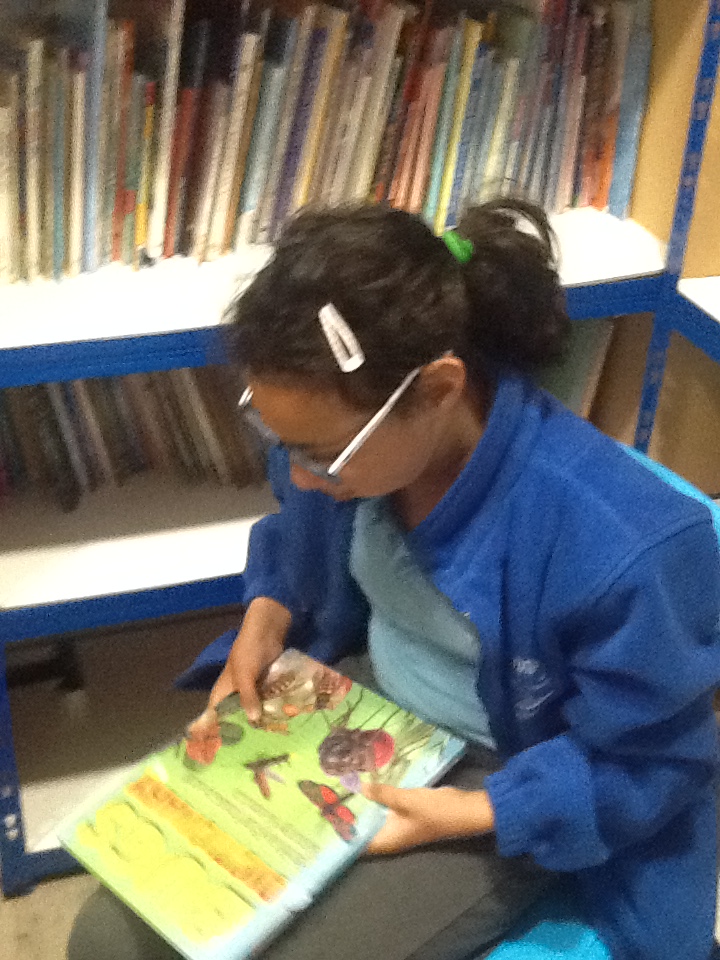 St Anne's tweet media