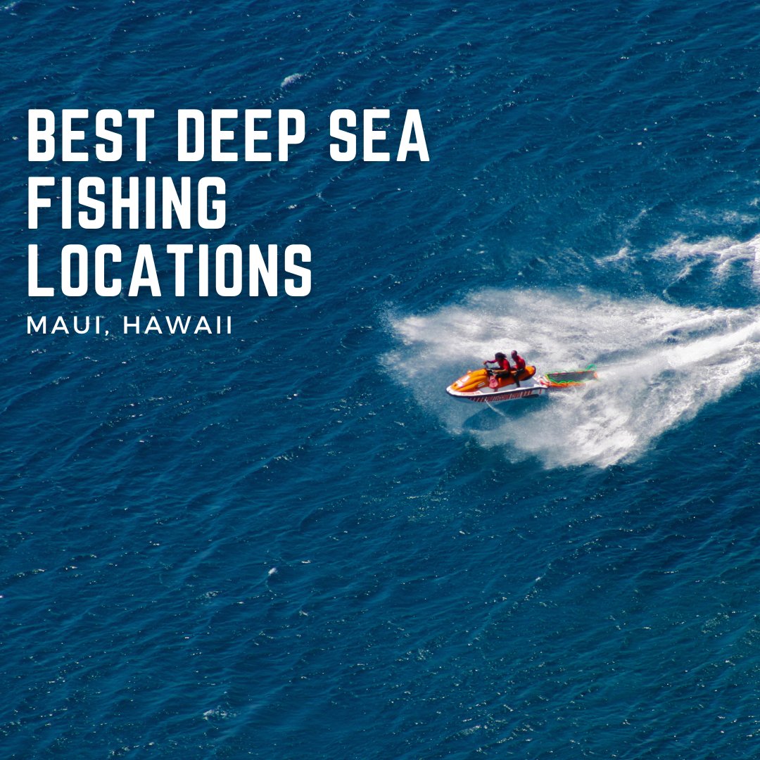 📌Best Deep Sea Fishing Locations
-Maui, Hawaii
.
.
.
#truwildlife #Tidewe #piscifun #piscifunreels #piscifunfishing #fishinggear #tips #fishingtips #whatgetsyououtdoors #enjoyfishing #fishingislife #fishingislife