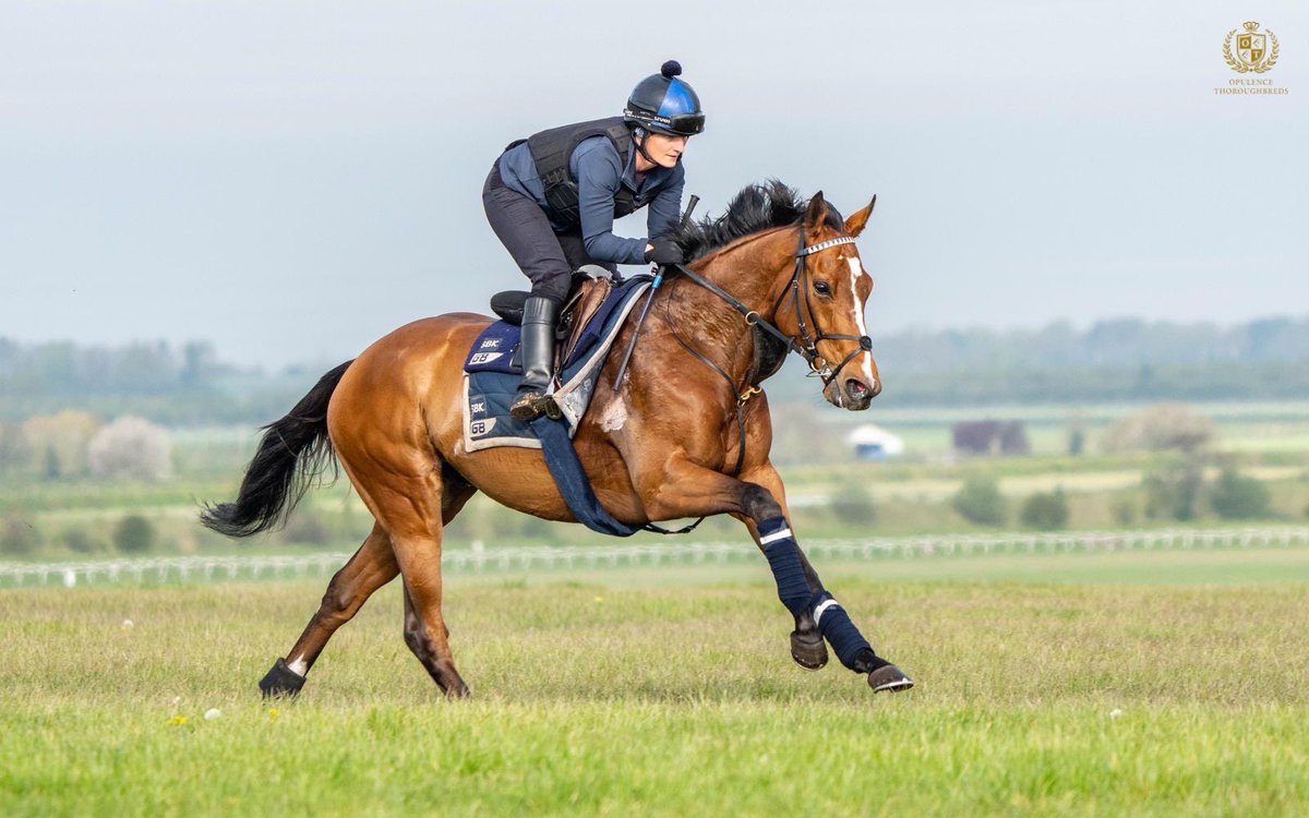 🅡🅤🅝🅝🅔🅡 - Sun King runs this afternoon at @NewburyRacing, making his challenge in the 1m2f Class 3 Handicap at 14:05.

Dane O’Neill takes over in the saddle for @gbougheyracing. 

Best of luck to his owners! 

#OpulenceThoroughbreds