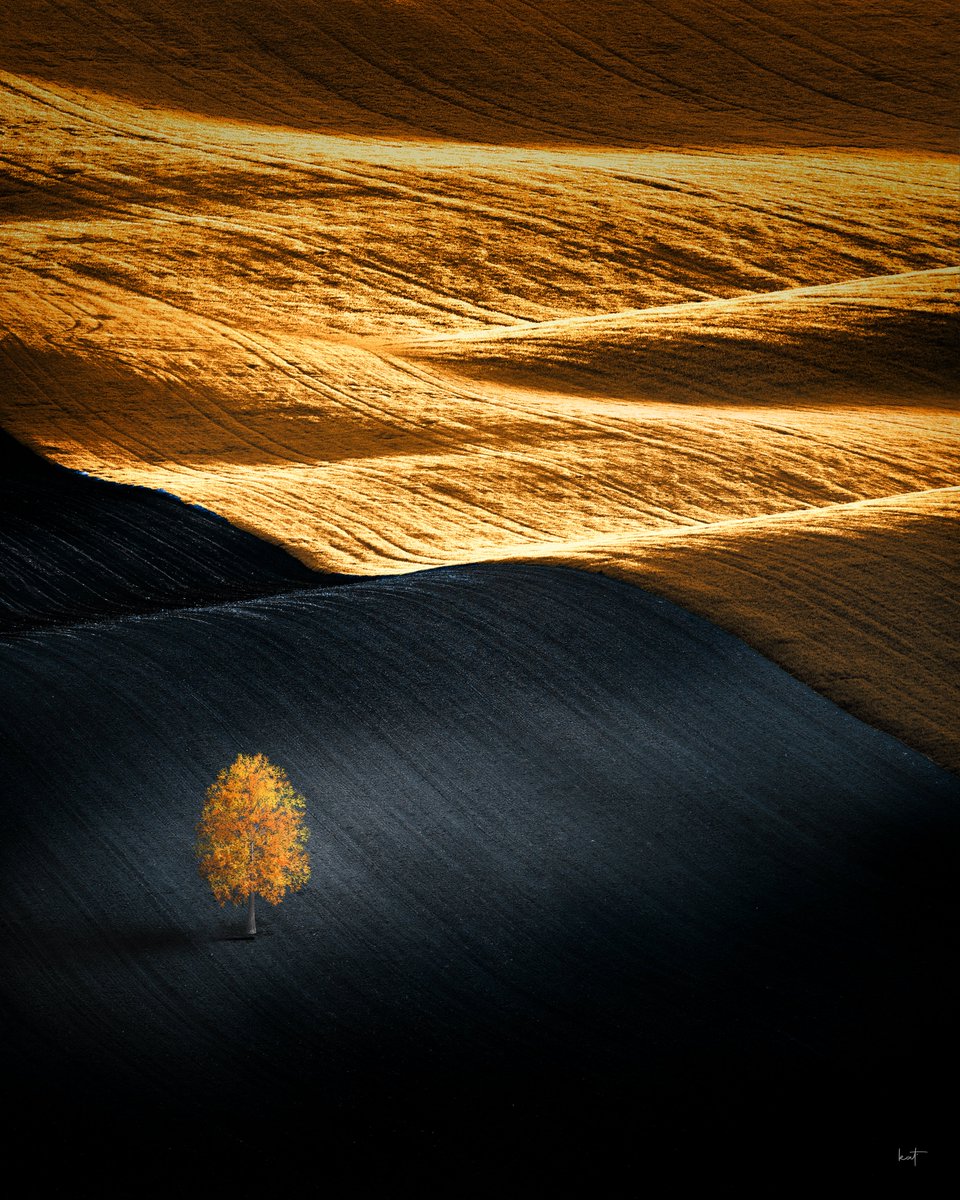 Kathrin Federer  kathrinfederer.ch tweet media