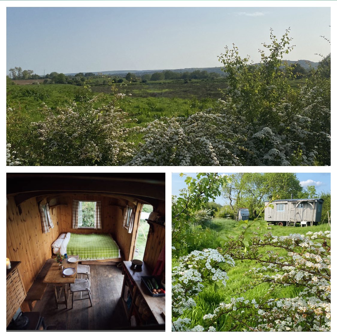 #glamping at the wagon. What we cant offer, hot tub, electricity, What we can offer, views, peace and tranquility, privacy, relaxation, #nature #cuckoo, skylark, swans, #swallows, #buzzards #kingfisher plus 20 other species. #birdwatching #holiday #shepardshut