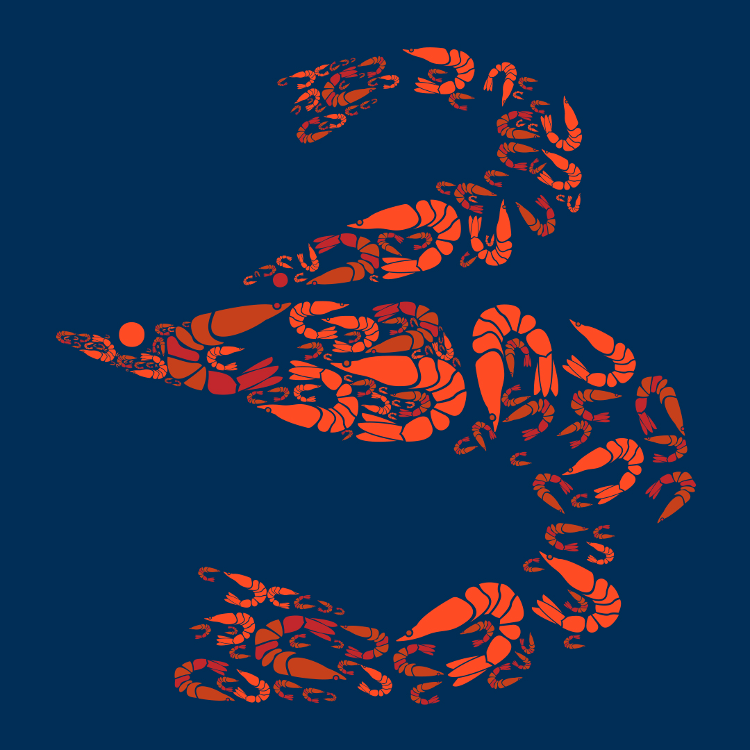 3cotyCom's tweet image. Our new range of natural and complete cat food enriched with sustainably harvested Antarctic krill. Why do we choose this ingredient delivering the superior Omega-3? #qrillpet #meatonlycatfood 
Read all about it: 3coty.com/.../essential-…