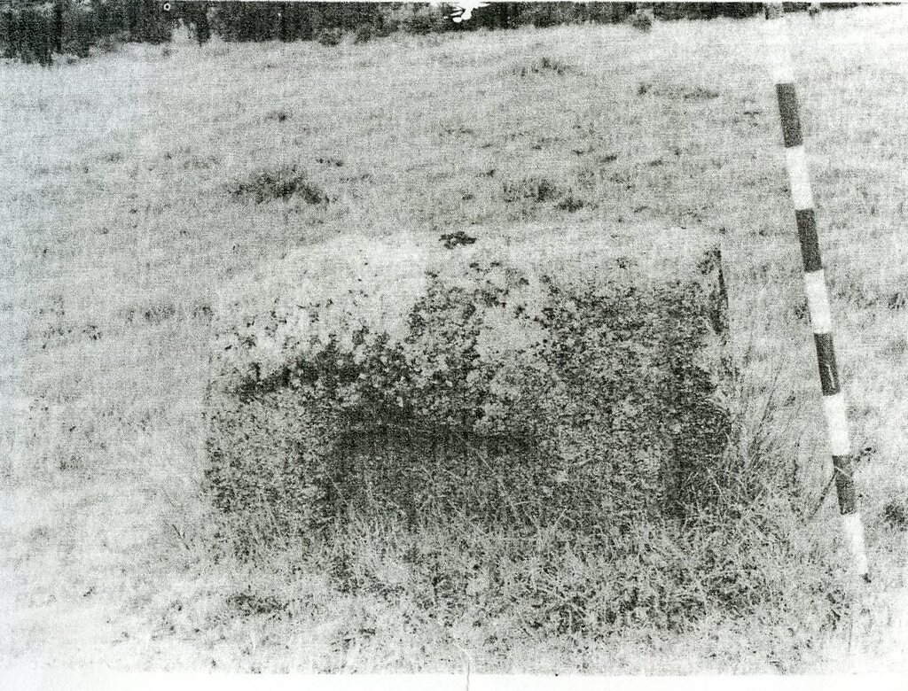 verracos_es's tweet image. Figura zoomorfa 007 Ávila - ift.tt/D9bGHMs #verraco