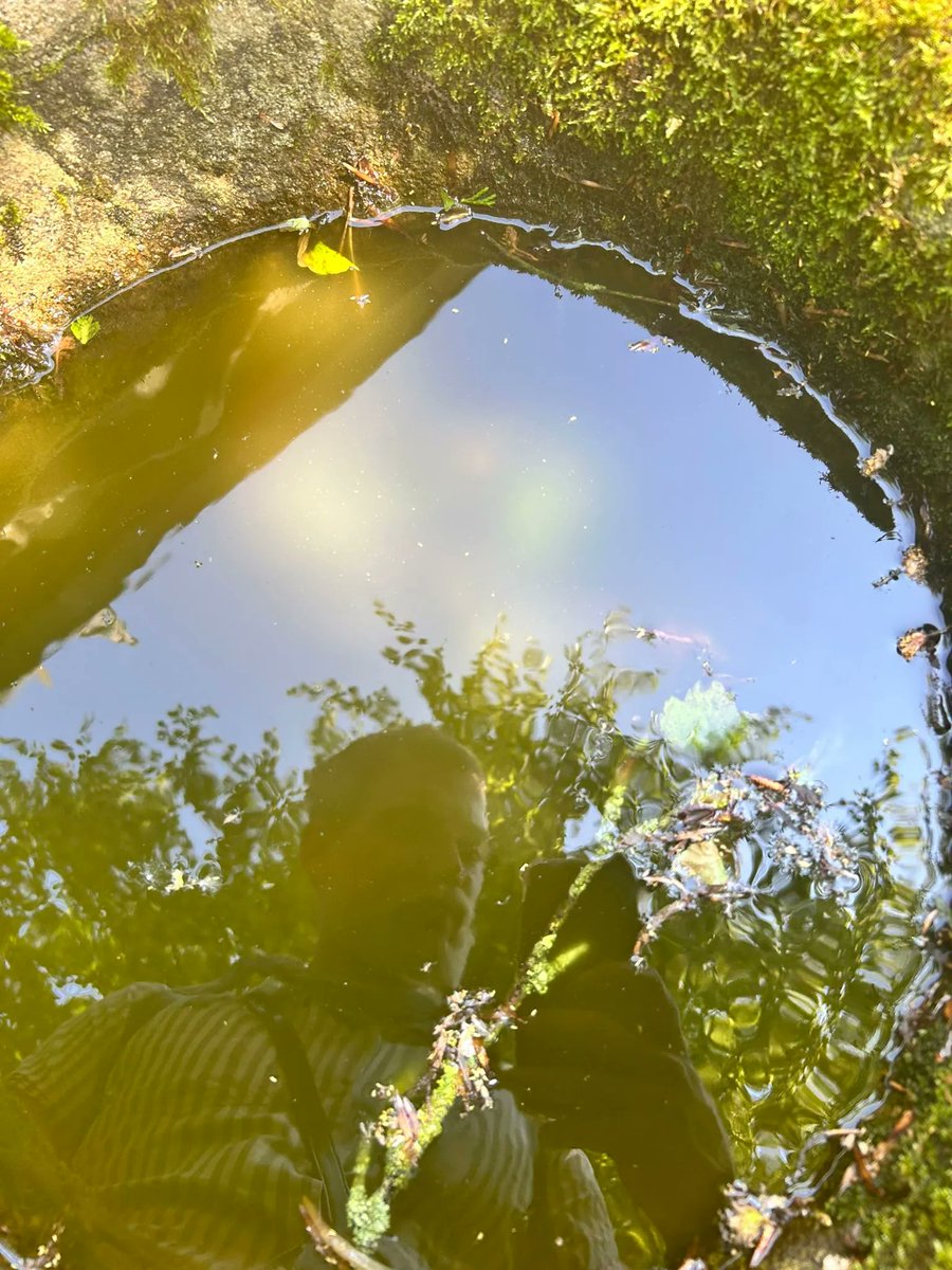 artsandculturex's tweet photo. A busy 2nd week for our Arts Commission with @TJG_UK with a day trip to the beautiful #StDennis, a visit to @CornishLithium & time spent exploring archive material @UniExeCornwall. See more photos & discover more about the project https://t.co/ttMXcLmWba https://t.co/gIrMHv3GiQ