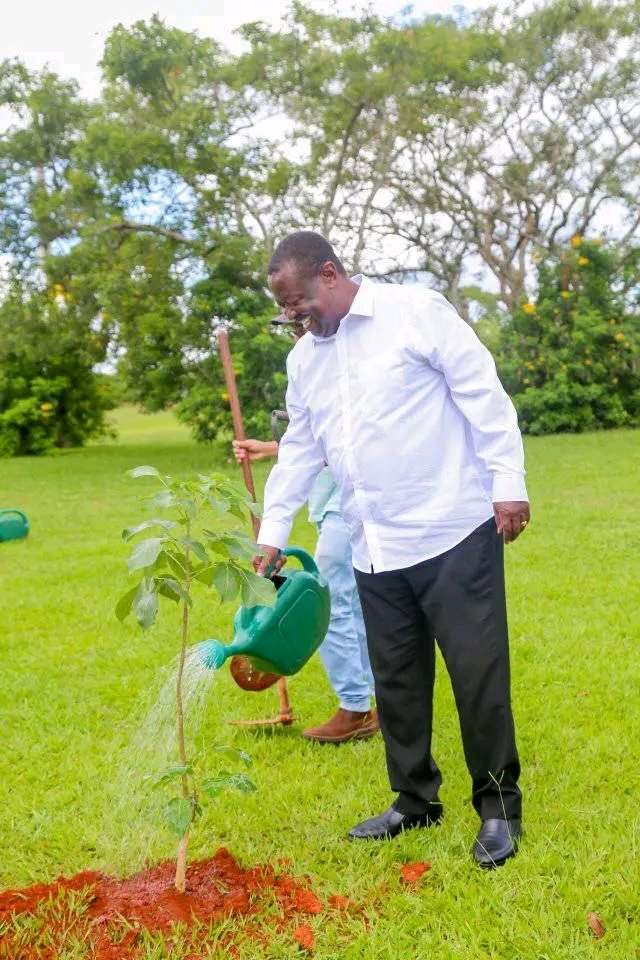 magwaz3's tweet photo. PCS Mudavadi forgot the Luhya nation the moment he joined Kenya Kwanza. Even when Luhyas are being fired and replaced with Kalenjins he will never raise his mouth. He only wants them shift from azimio to Kenya Kwanza to be fed more lies. 

Tony Blair Anne Amadi DP Gachagua https://t.co/srNzV4CYqY