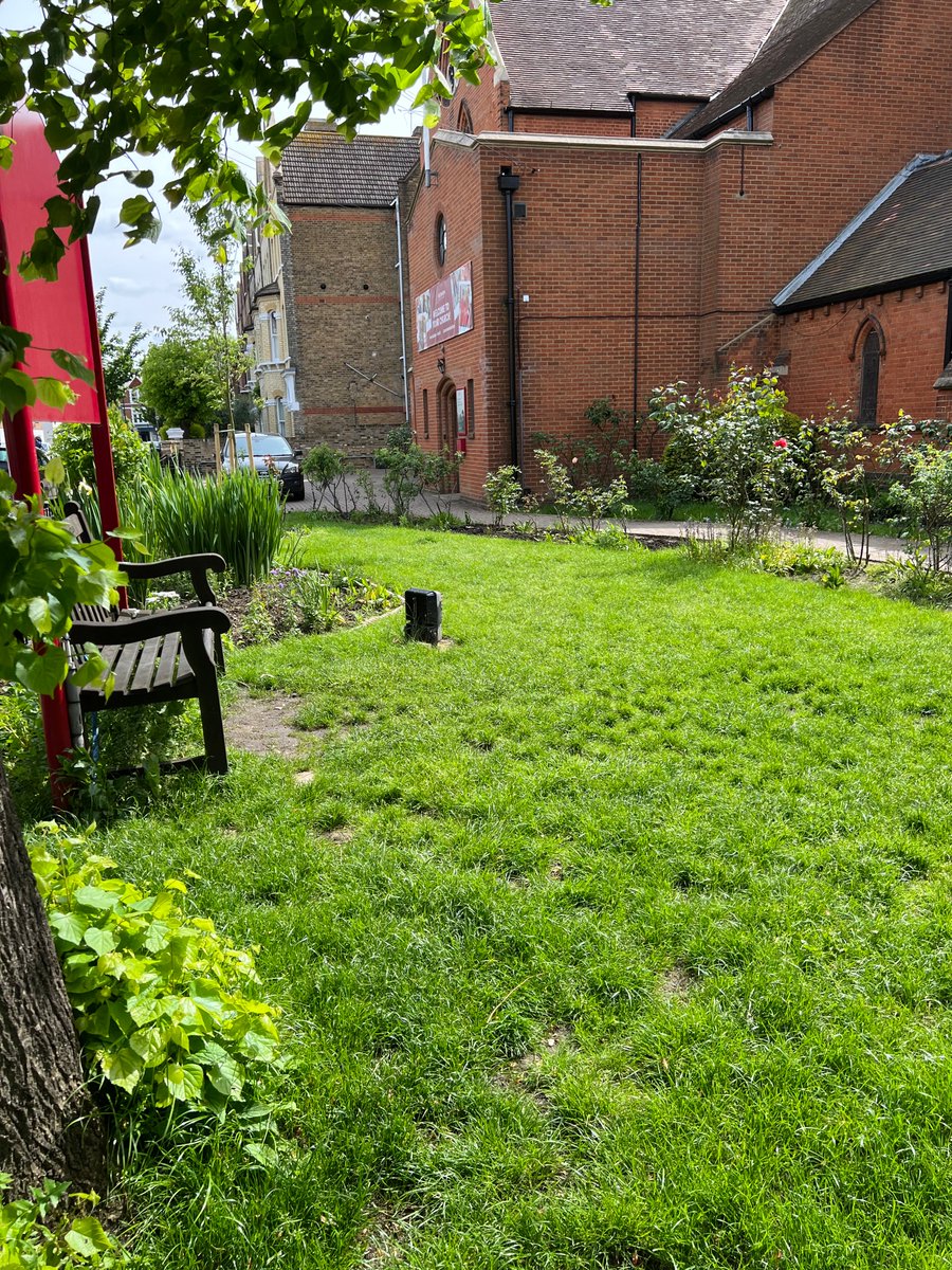It's No Mow May! We are letting our lawn and wildflowers grow this month to help reduce the carbon footprint of our garden and to see diversity of plants and grasses bloom! 
.
#ecochurch #nomowmay
.
.
.
#morethanachurch #loveyourneighbour #lovebalham #balham #inthistogether