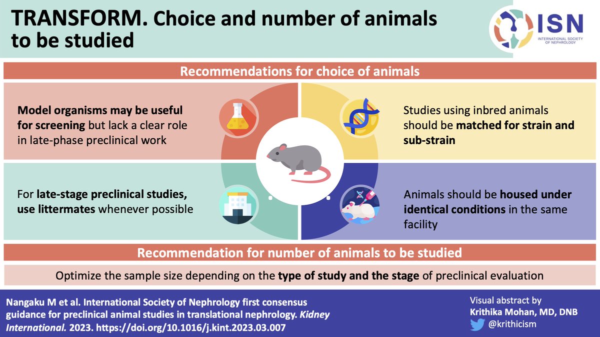 <a href="/AgnesFogo/">Agnes Fogo</a> <a href="/fjcaskey/">Fergus Caskey</a> Download the summary infographics of all recommendations for preclinical animal studies in translational nephrology at the ISN website ➡️ theisn.org/in-action/rese…

#ThisIsISN – Advancing kidney health worldwide. Together.