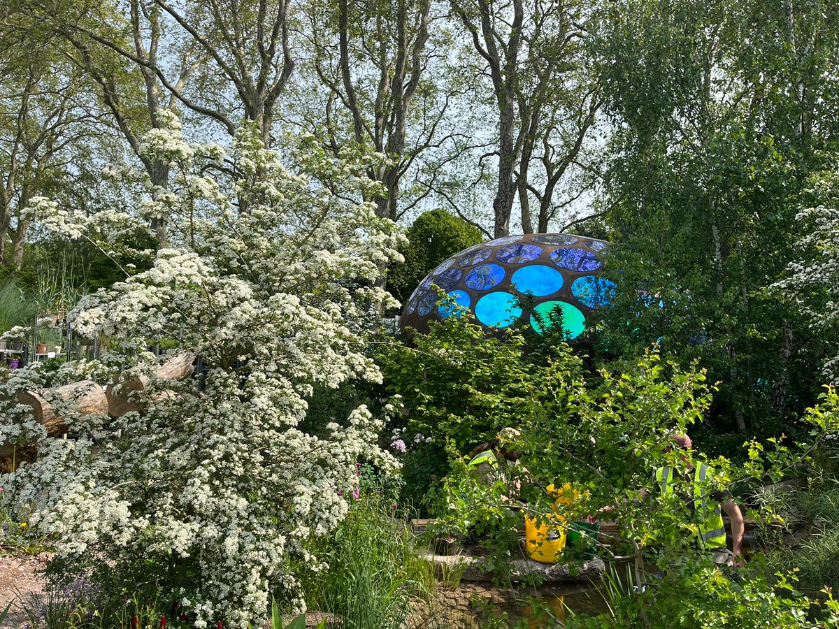 RoyEntSoc's tweet photo. #CountdownToChelsea
This time next week, we'll be nearing the end of #RHSChelsea 2023 🌸 If you're there on Press Day or the first public day of the show & would like to meet, we're happy to chat 🌿
Want more photos of the #RESGarden? Follow the journey: https://t.co/AZ1Q6zLNpu https://t.co/9w2V00fcyw