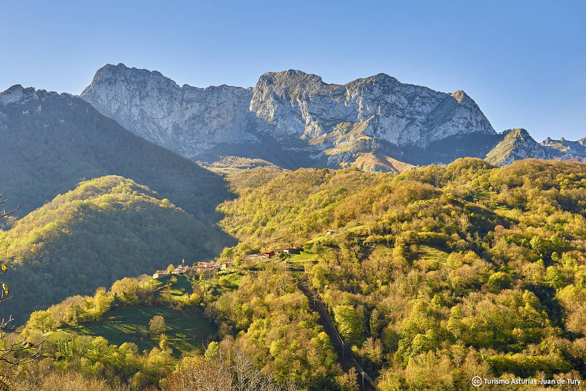 TurismoAsturias's tweet photo. Unas imágenes para enamorarte del 𝗣𝗮𝗿𝗾𝘂𝗲 𝗡𝗮𝘁𝘂𝗿𝗮𝗹 𝗱𝗲 𝗣𝗼𝗻𝗴𝗮
➤ https://t.co/kOd7EQwu5l https://t.co/U5NJtqoViH