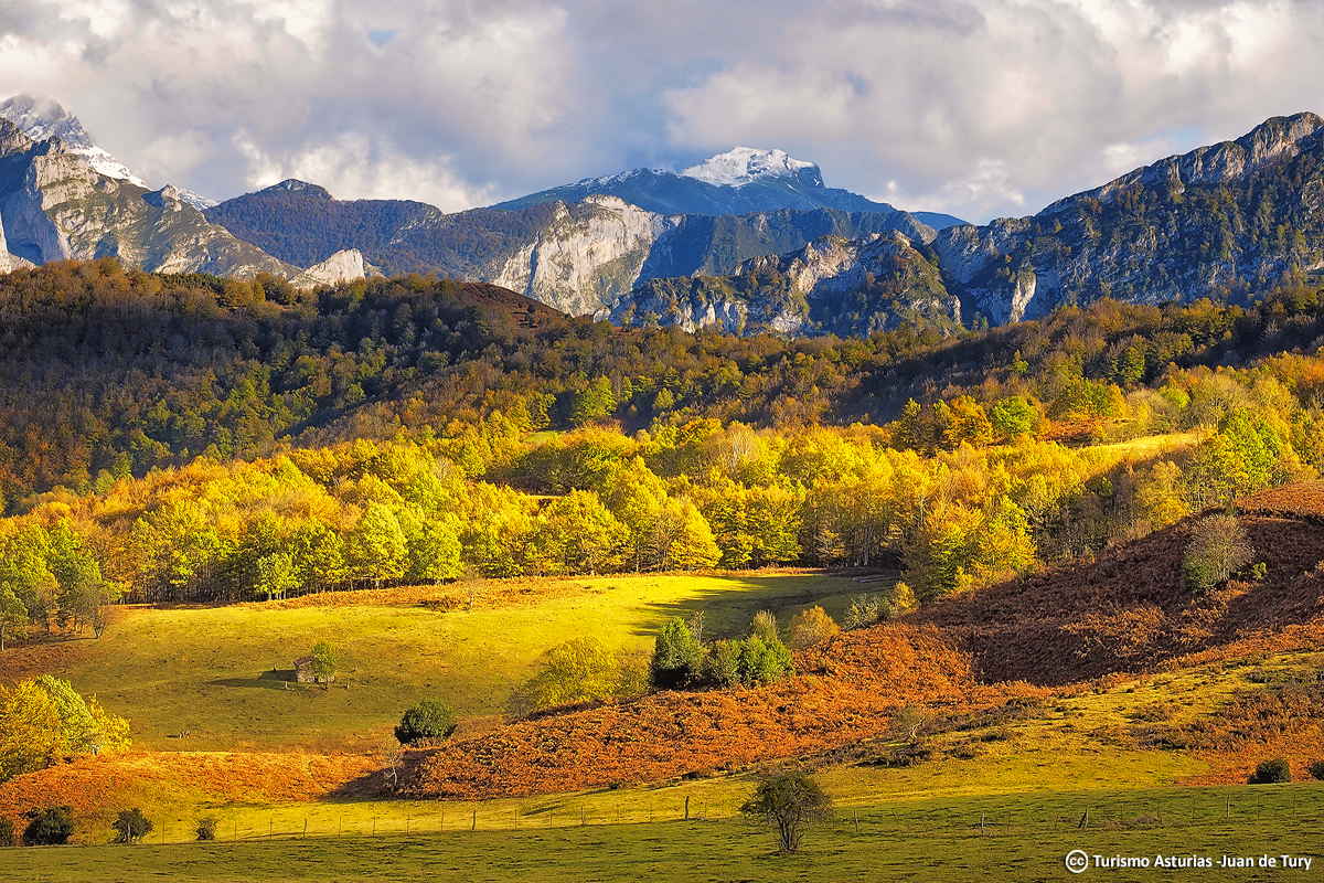 TurismoAsturias's tweet photo. Unas imágenes para enamorarte del 𝗣𝗮𝗿𝗾𝘂𝗲 𝗡𝗮𝘁𝘂𝗿𝗮𝗹 𝗱𝗲 𝗣𝗼𝗻𝗴𝗮
➤ https://t.co/kOd7EQwu5l https://t.co/U5NJtqoViH
