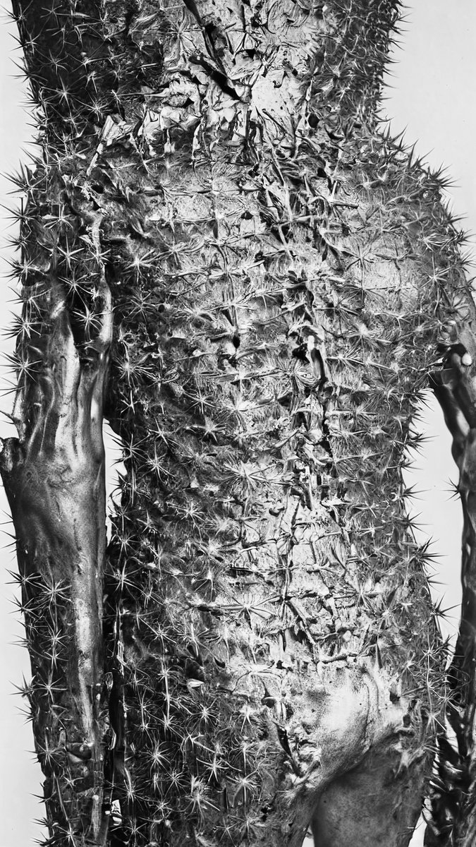 Ibl3D's tweet image. New piece on @SuperRare

"The Lover"