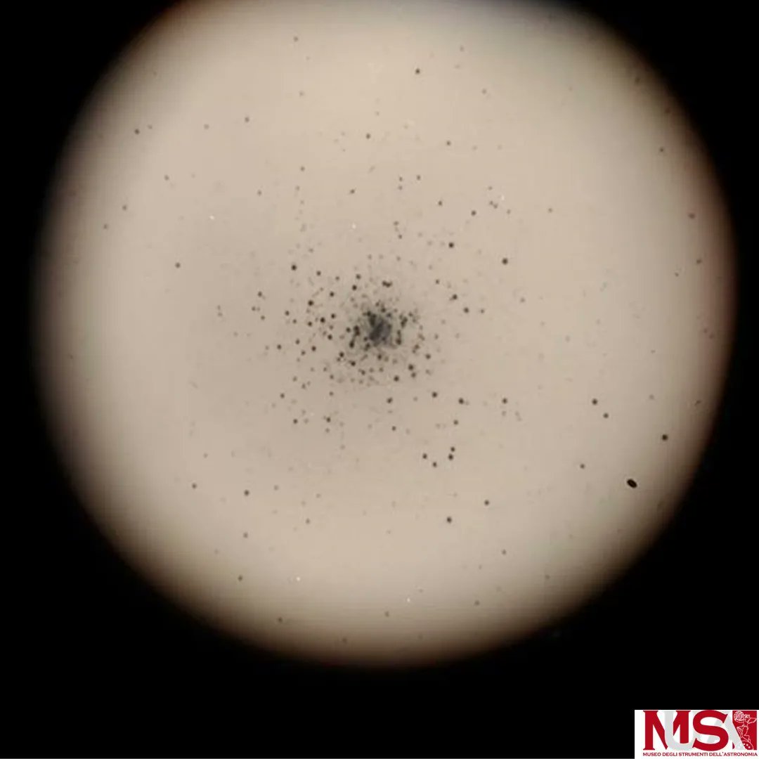 MuseoAstronomiaUnipd tweet media