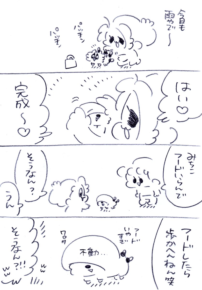 雨の日のぽぷちん🥰😂☔️ #うちのおばあワン #漫画が読めるハッシュタグ