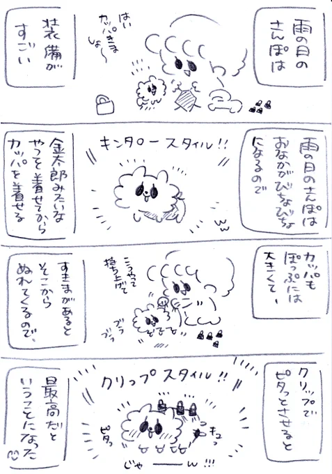 雨の日のぽぷちん🥰😂☔️ #うちのおばあワン #漫画が読めるハッシュタグ