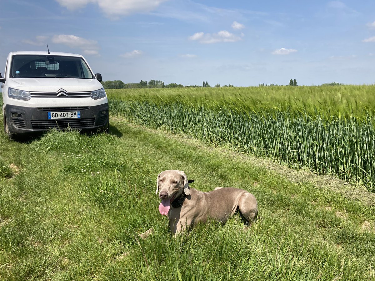 Emmanuel BONNIN tweet media