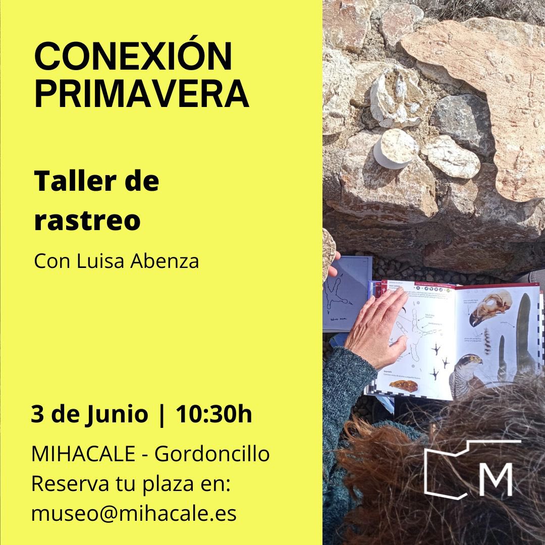 Museo Indus Harinera tweet media