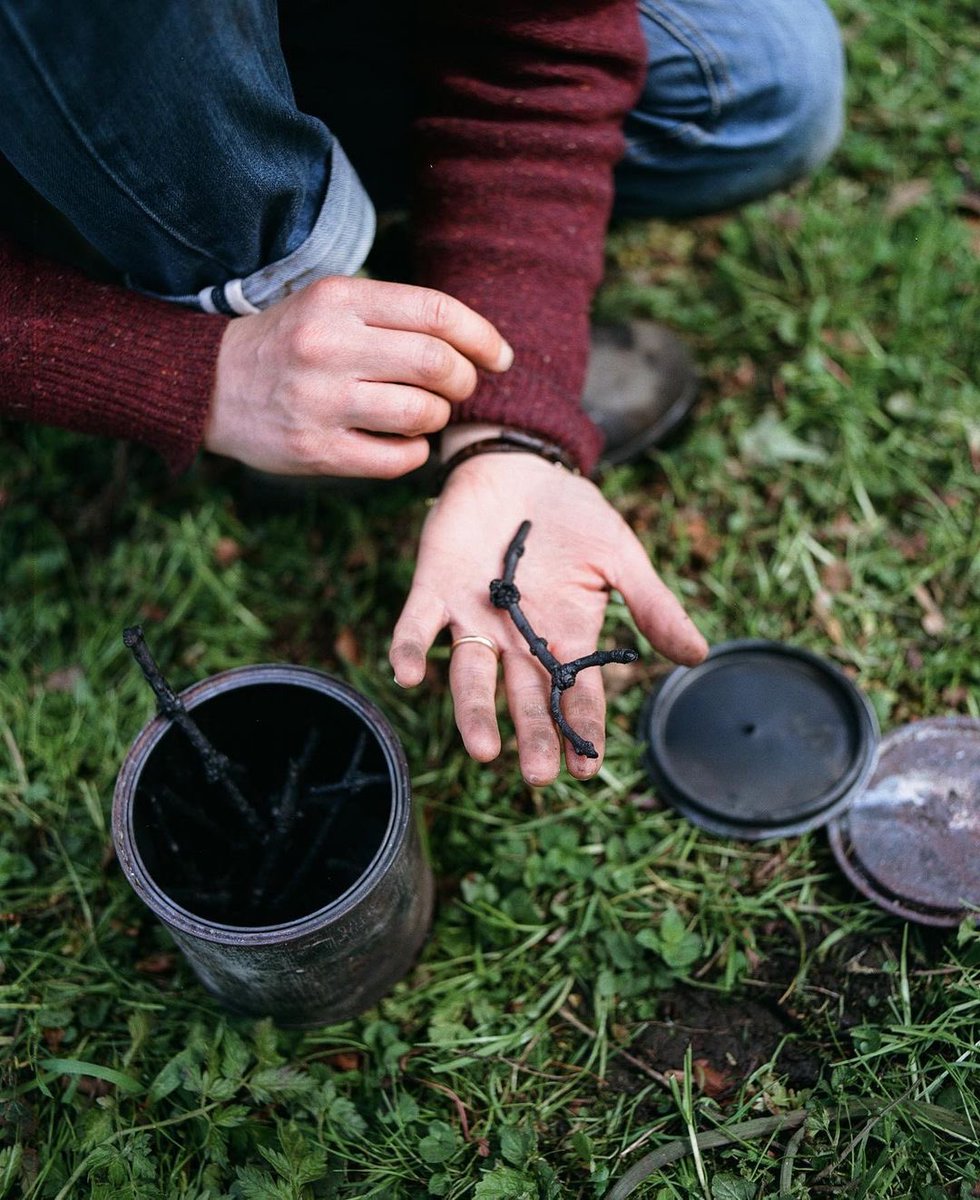 Ashen, Lotte Scott
Dieback and Loss in the Mendip Hills

20 May - 25 June 2023
Open Daily 10am-4pm

Preview, Fri 9 May 6-8pm
Late night opening #Frome First Fridays, Fri 2 June 6-8pm
Artist talk, Sat 3 June 11am

Free entrance, everyone is welcome 

blackswanarts.org.uk/whats-on/exhib…