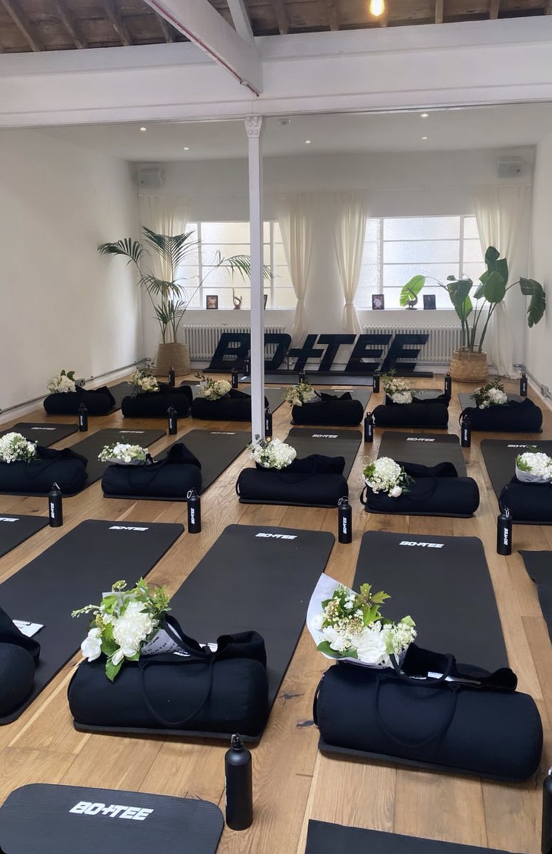Bo+Tee tweet media