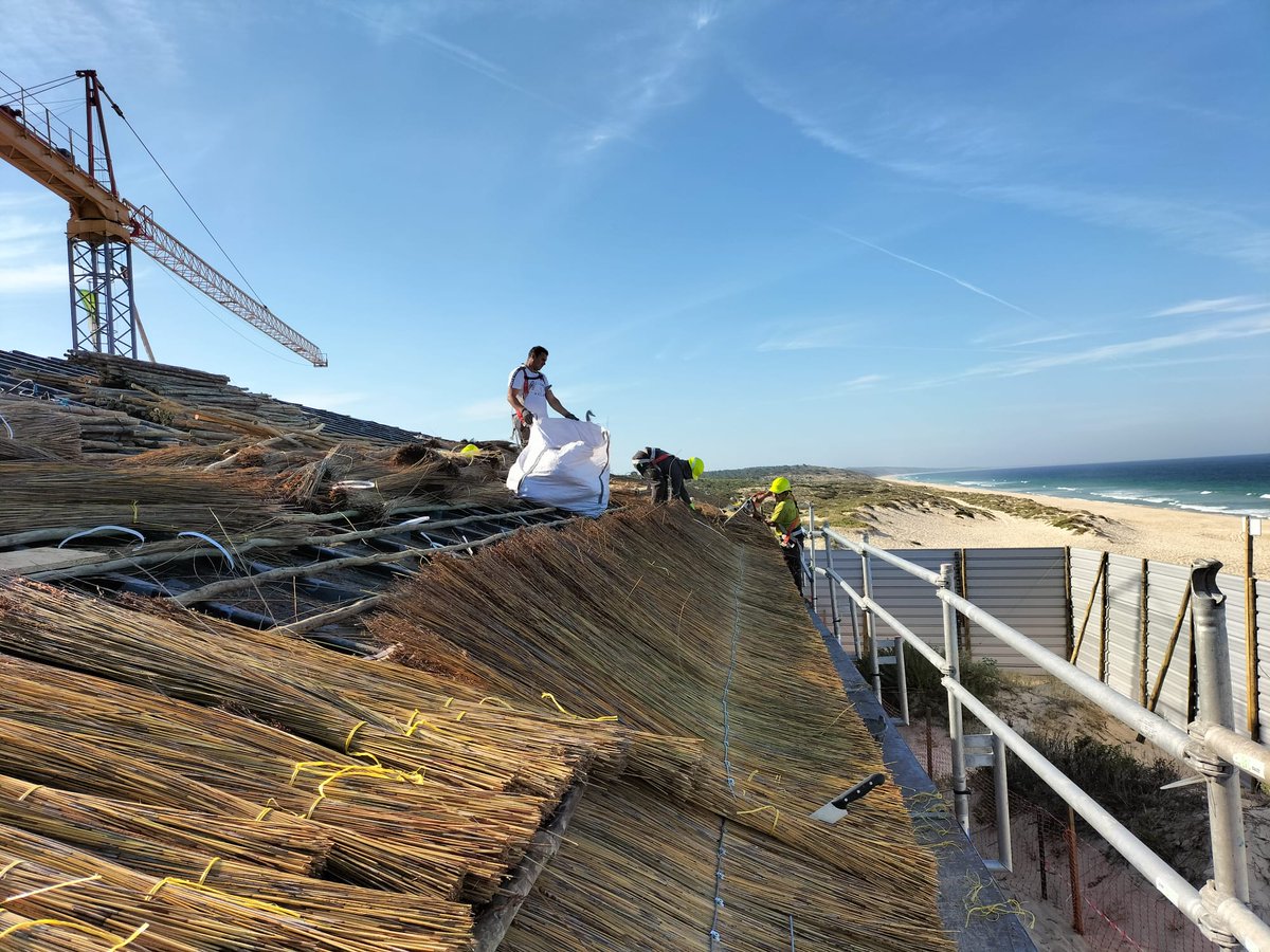CapeReed's tweet photo. Best views to kick off the new work week in Portugal.
We are are thatching a 533m2 roof with cape reed thatch.
#Portugal #Thatch #Thathing #Thursday #LetsGo https://t.co/TTItTIWzA9