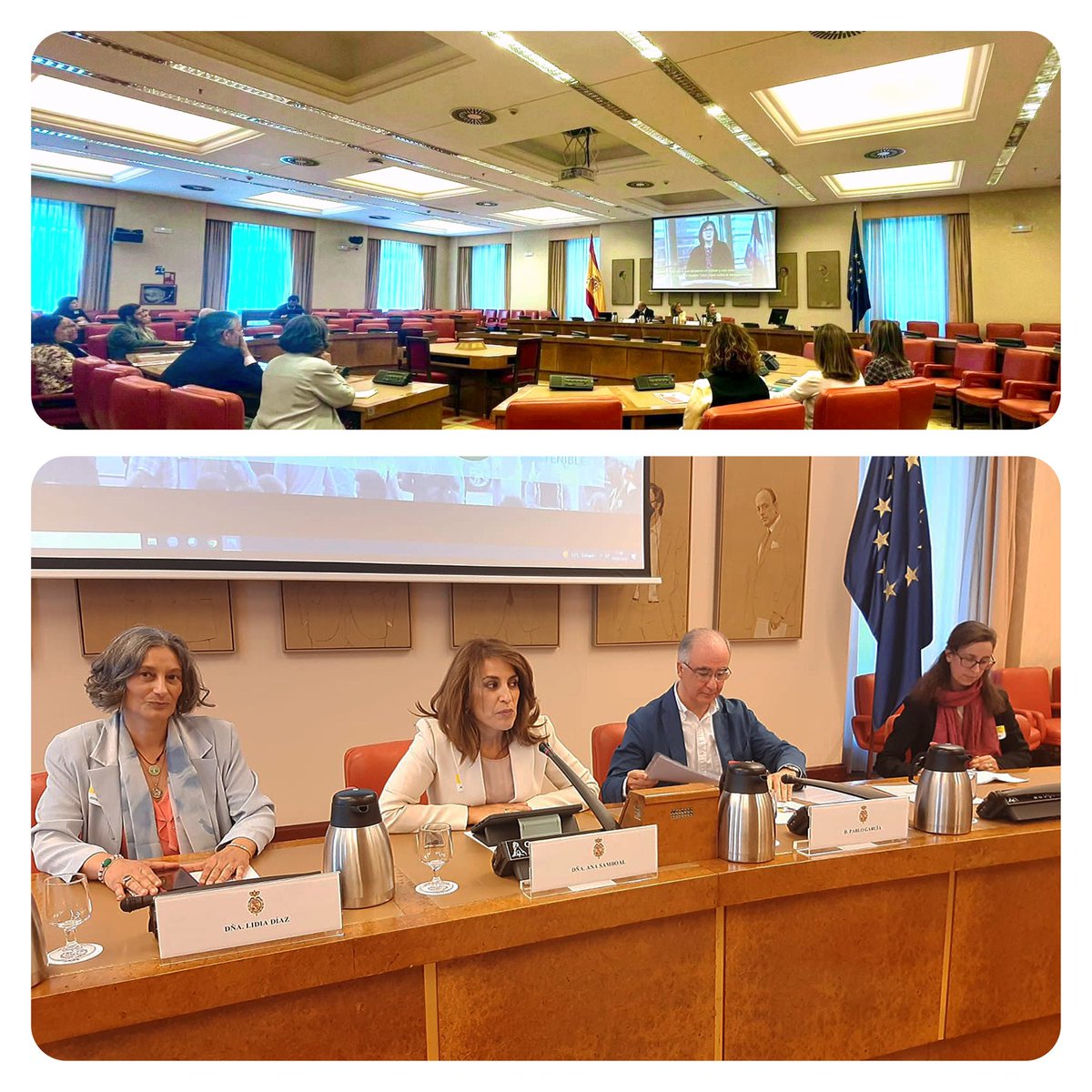 ES_Despoblacion's tweet photo. La #AECD en el @Congreso_Es en una jornada organizada por @TheFamilyWatch para celebrar el #DíaInternacionalDeLaFamilia en el que compartimos propuestas y reflexiones desde y para el #mediorural. https://t.co/gmlynWhwHh