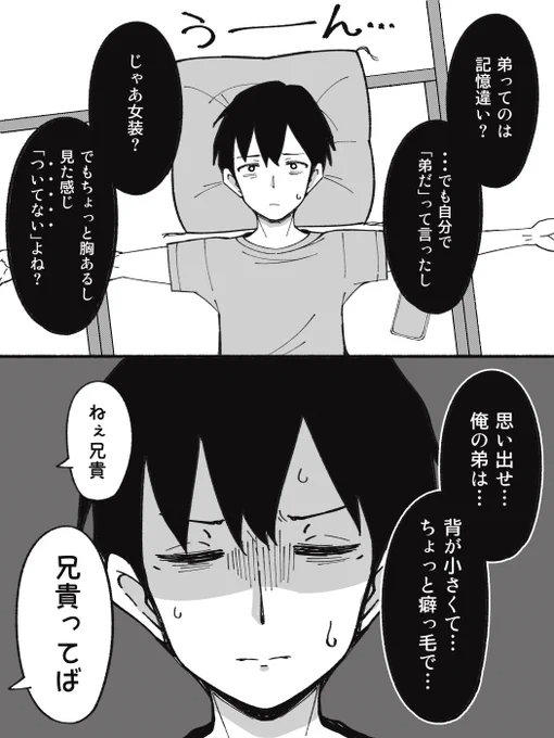 必死に弟の姿を思い出す兄と、無自覚で兄の脳を破壊しにくるTSした弟。