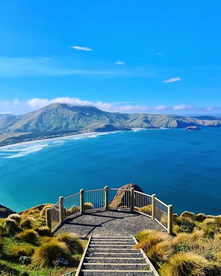 Dunedin, New Zealand 🇳🇿