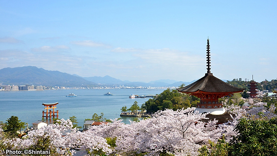 As the #G7 #Hiroshima Summit 2023 begins, celebrate the colors of Itsukushima Shrine! The vermillion of this World Heritage Site in Hiroshima, epitomized by Otorii Gate ⛩️, harmonizes w/ the surrounding green mountains 🏔️ and blue sea.
lnky.jp/hkPv1fD

#HighlightingJapan