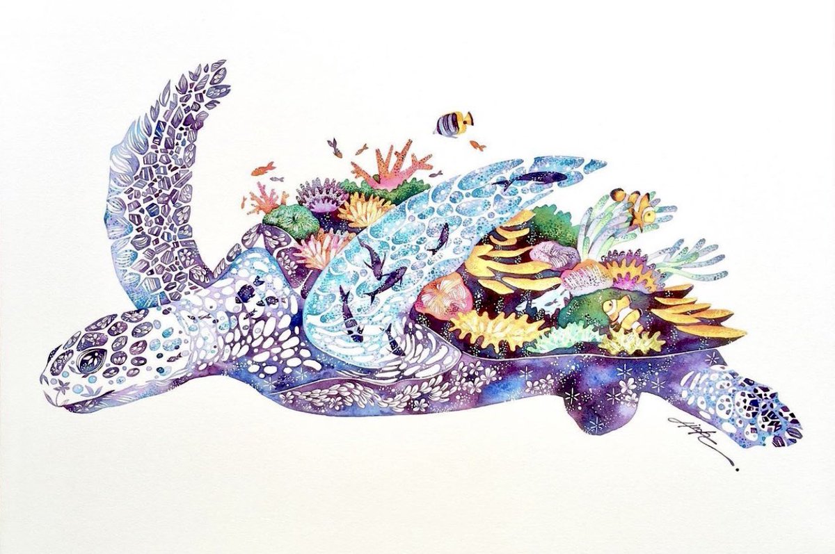 「元気か〜い?  #ウミガメ #透明水彩 #海」|タケダヒロキのイラスト
