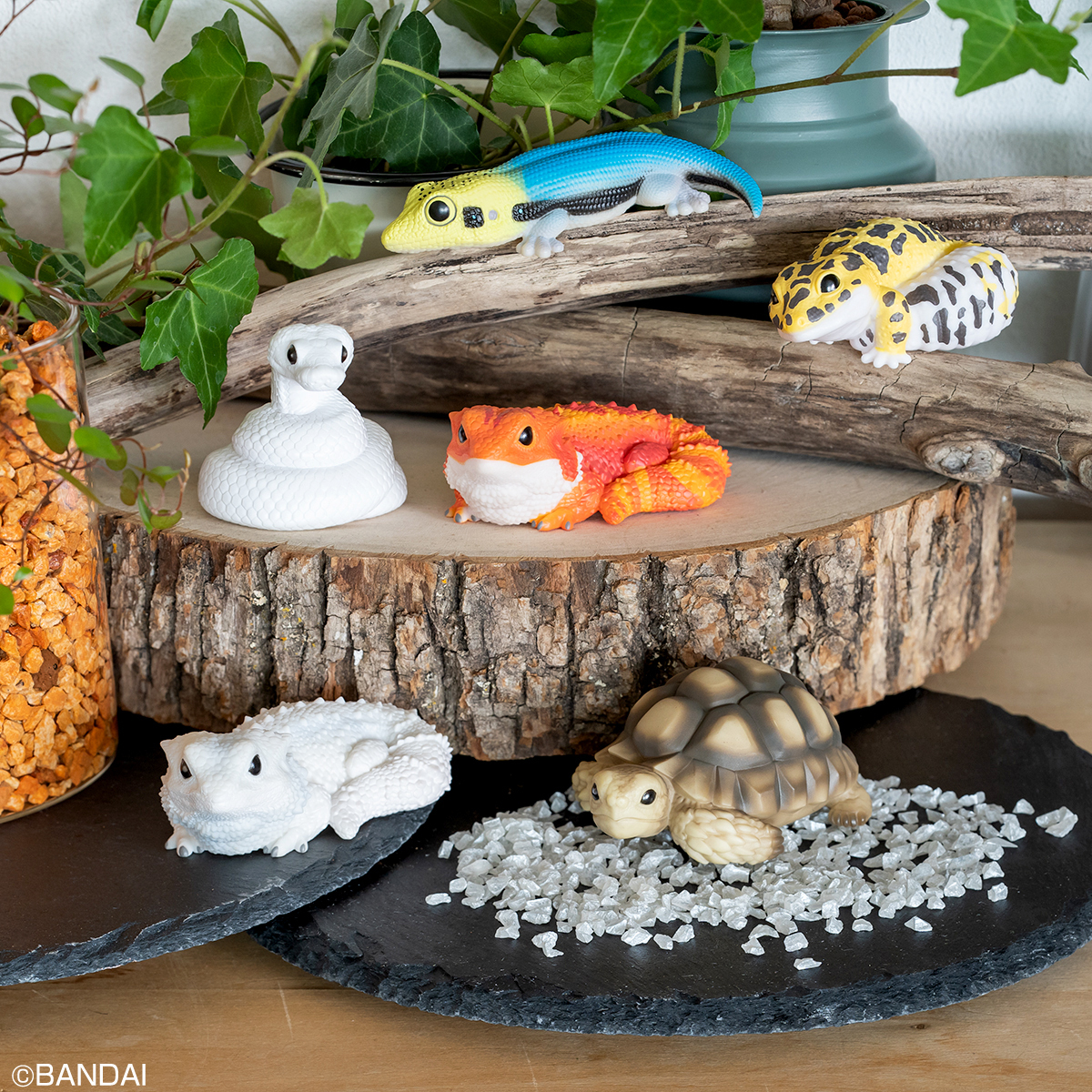 😊お菓子売場にて5月22日発売予定😊／ 「てのりフレンズ8」 ペット