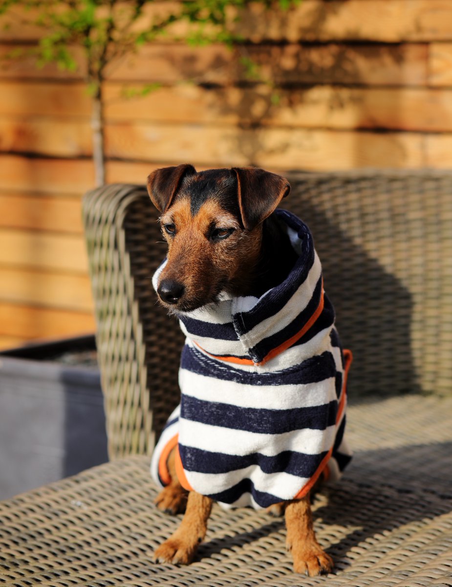 Want your canine to look cool this Summer? Nothing beats these nifty nautical drying robes from @HarbourHounds Available in a range of sizes to fit all breeds these super snuggly robes will have fellow pups green with envy! dotty4paws.co.uk/product/dog-dr… #earlybiz #MHHSBD