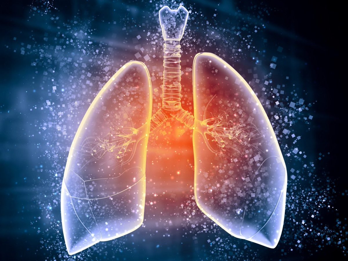 NEW EPISODE - Cystic Fibrosis

A joyful story this week when we chat to Louise Jenkins - who has cystic fibrosis - about growing up and trying to lead a normal life with this serious and unforgiving condition and the transformative effects of recent innovations in drug therapy.