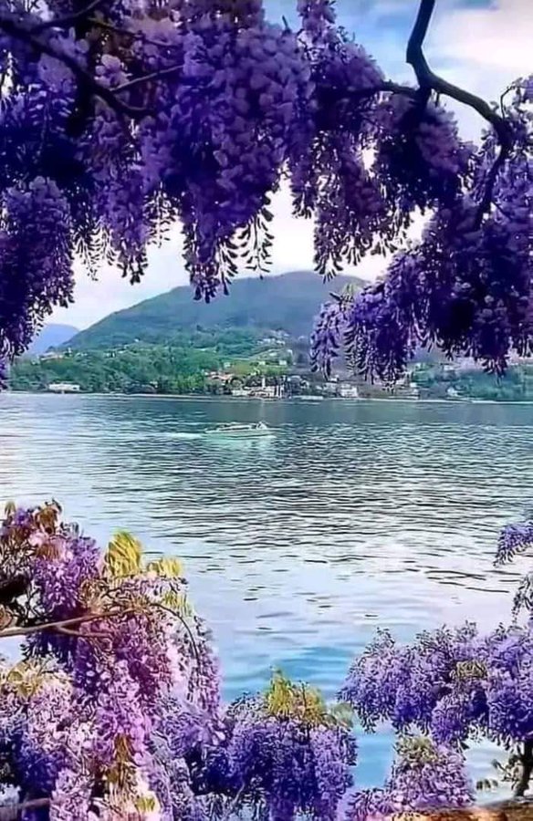 EarthParadise33's tweet photo. https://t.co/USERC6XX3l