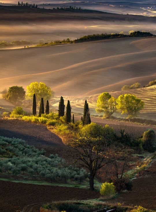 EarthParadise33's tweet photo. Pure natural beauty https://t.co/ULvrwKsboW