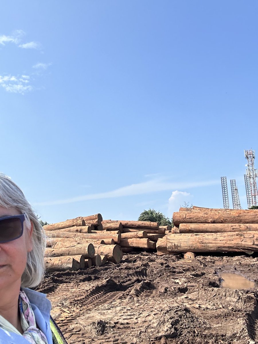 GallozziMrita's tweet photo. ….e andiamo a cominciare….
#cestlafrique #tronchi #legno #certificando #legnolegale #lasignoradellegnoetico #gabon https://t.co/3j4UDy6oxF