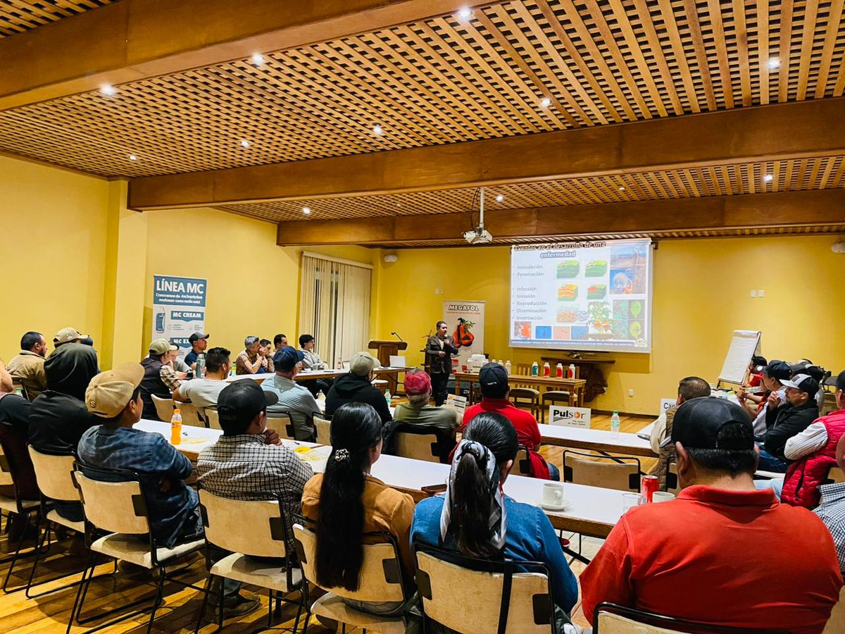 fitosanidad100's tweet photo. Seguimos Fortaleciendo la #CapacitaciónTécnica con nuestros Amigos #VALAGRO y #ANSA en #ManejoFitosanitario con #InductoresDeResistencia y #Microorganismos en el cultivo de #Papa, #Tapalpa, Jalisco. Muchas gracias por su confianza y atención. JDG. https://t.co/UJG9HXxbbp
