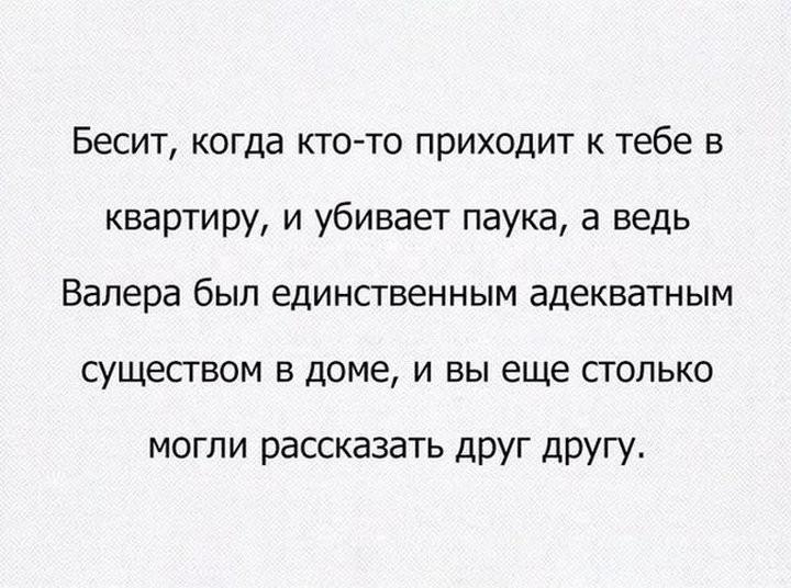 Сборник прикольных картинок для настроения .