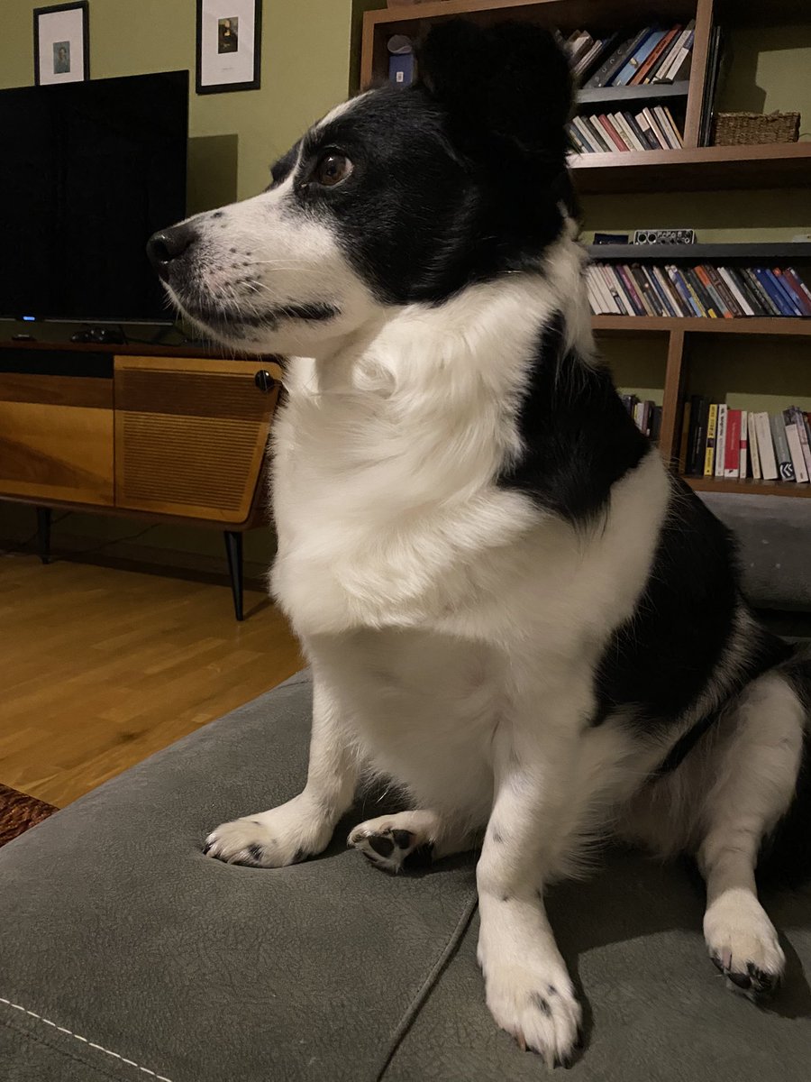 panda 👅 (@pandacuce) on Twitter photo 