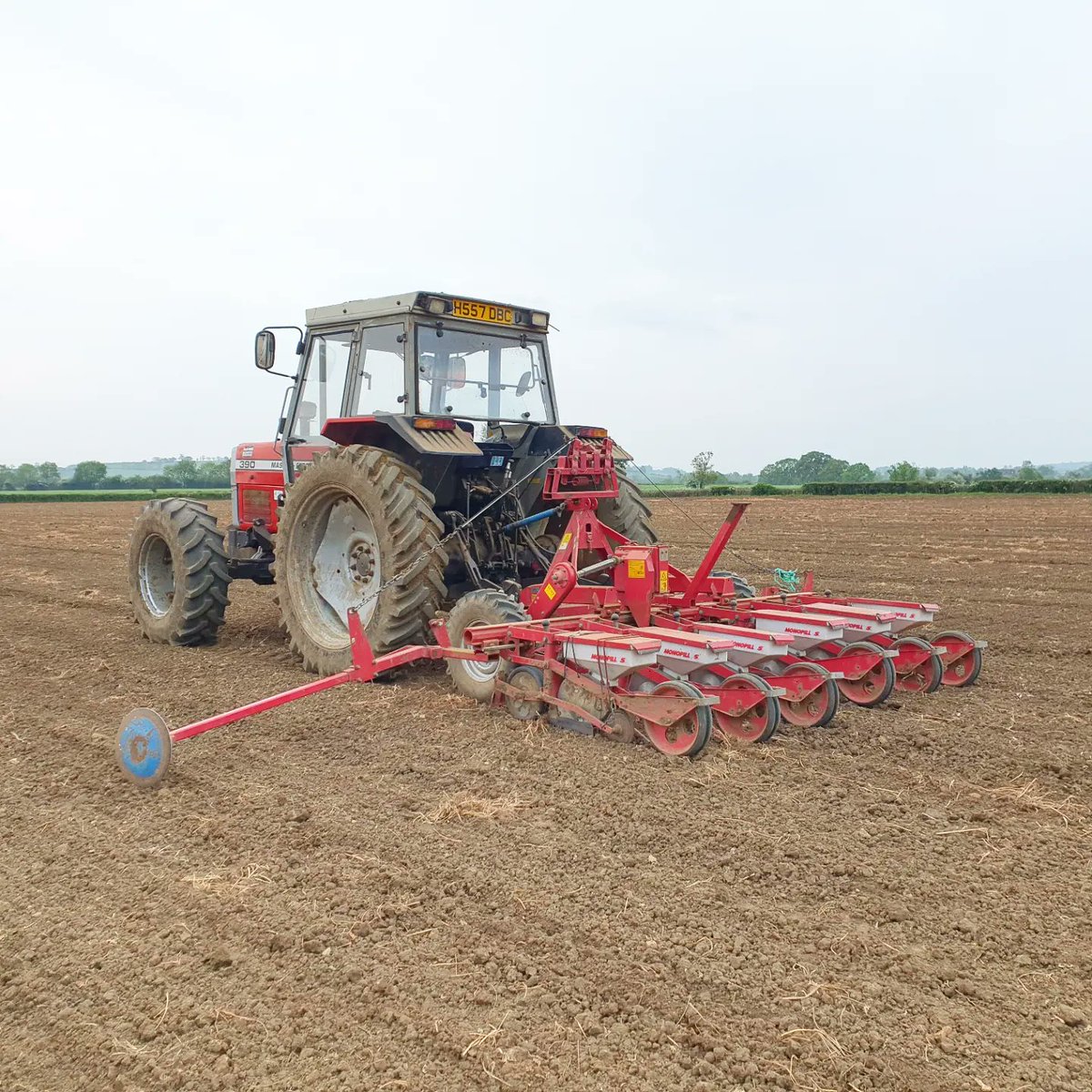 HappyHerefords's tweet photo. Busy week here at HH HQ but the #fodderbeet is finally in the ground, no fancy autosteer just good old fashioned common sense. Now a few light showers wouldn't go amiss #mf390 #masseyferguson #wefarmitwecookit #workingclassic #noautosteer https://t.co/mLNg1kmpx8