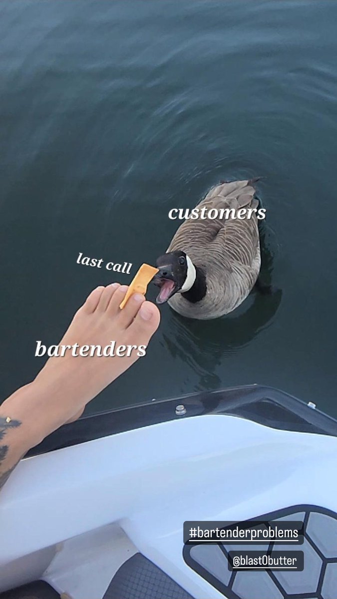 IggyPop_Tart's tweet image. #bartenderproblems #lastcall