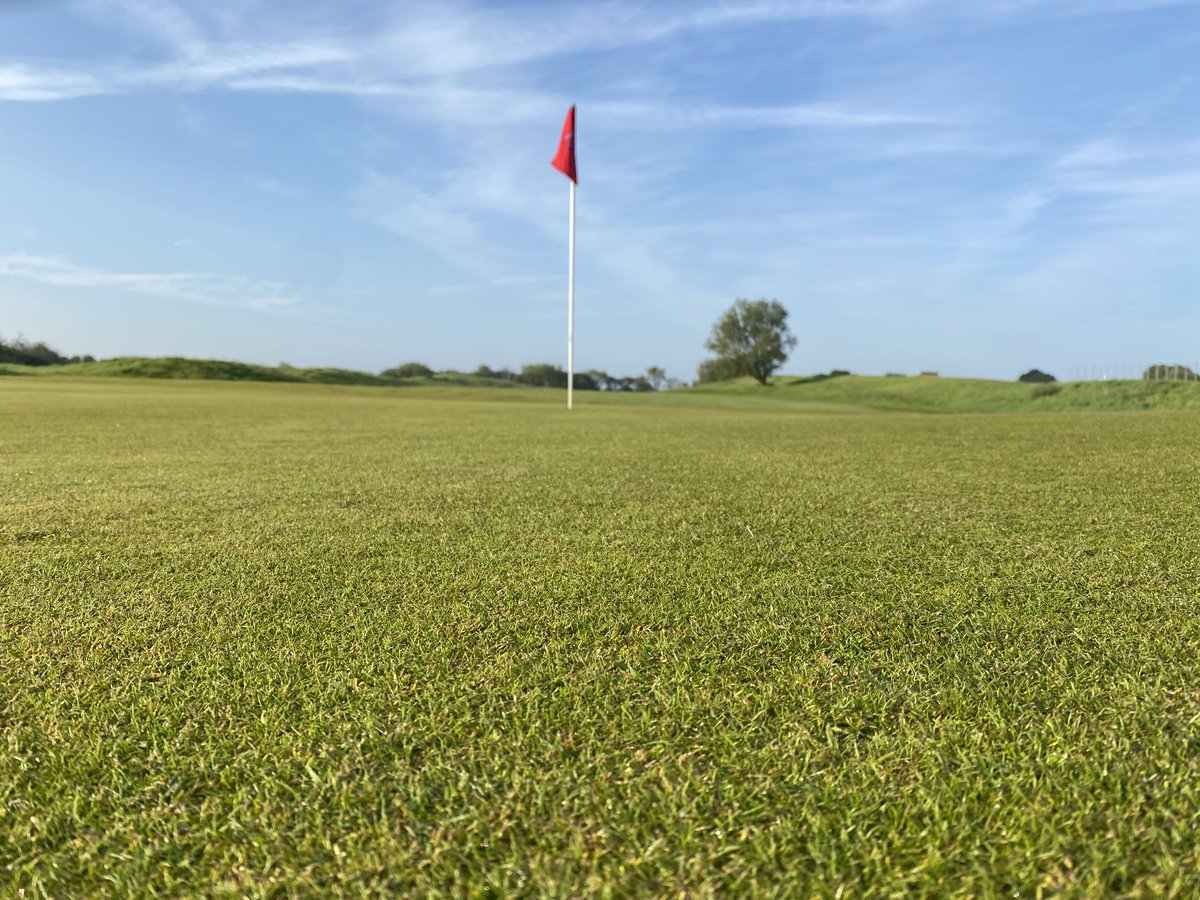 Lovely day on the Romney links down ⁦<a href="/LyddGolfClub/">Lydd Golf Club</a>⁩ as we welcome ⁦⁦<a href="/walkerltd/">Walker Construction</a>⁩ today 😎 greens coming on a treat with all the aeration work paying dividends as the fescue is beginning to thrive 🤙🏽 still cutting at 5mm giving it every chance 👍🏽 oh #coyi ⚒️⚒️⚒️⚒️⚒️