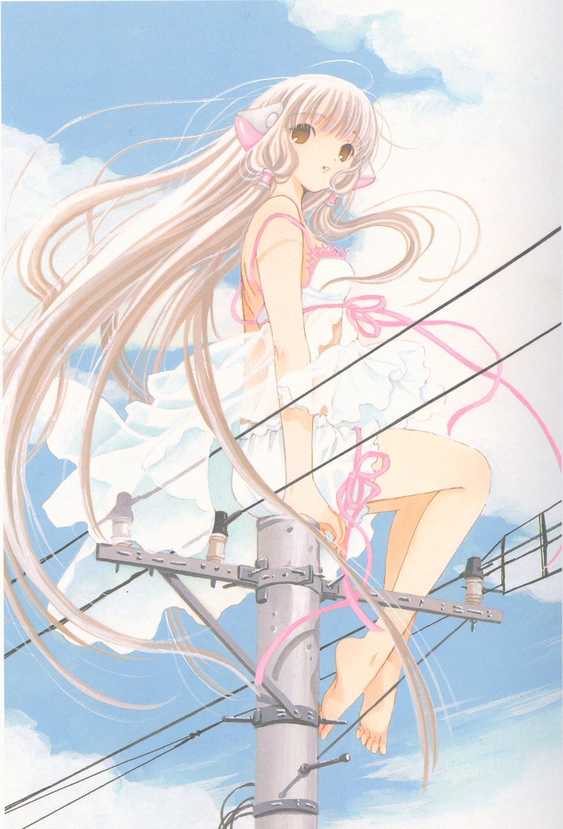 Why is she sitting on the powerlines. Is she stupid?
