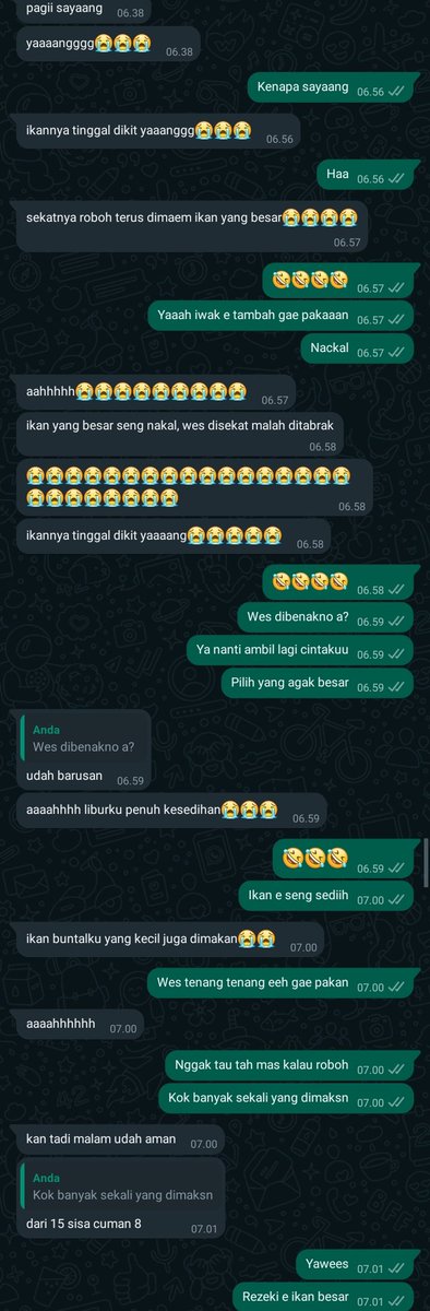 aml_Hus's tweet photo. Ya kasian ya ngakak, ikan koi nya dimakan ikan yang lebih besar wkwk https://t.co/yBoBrAcnTP