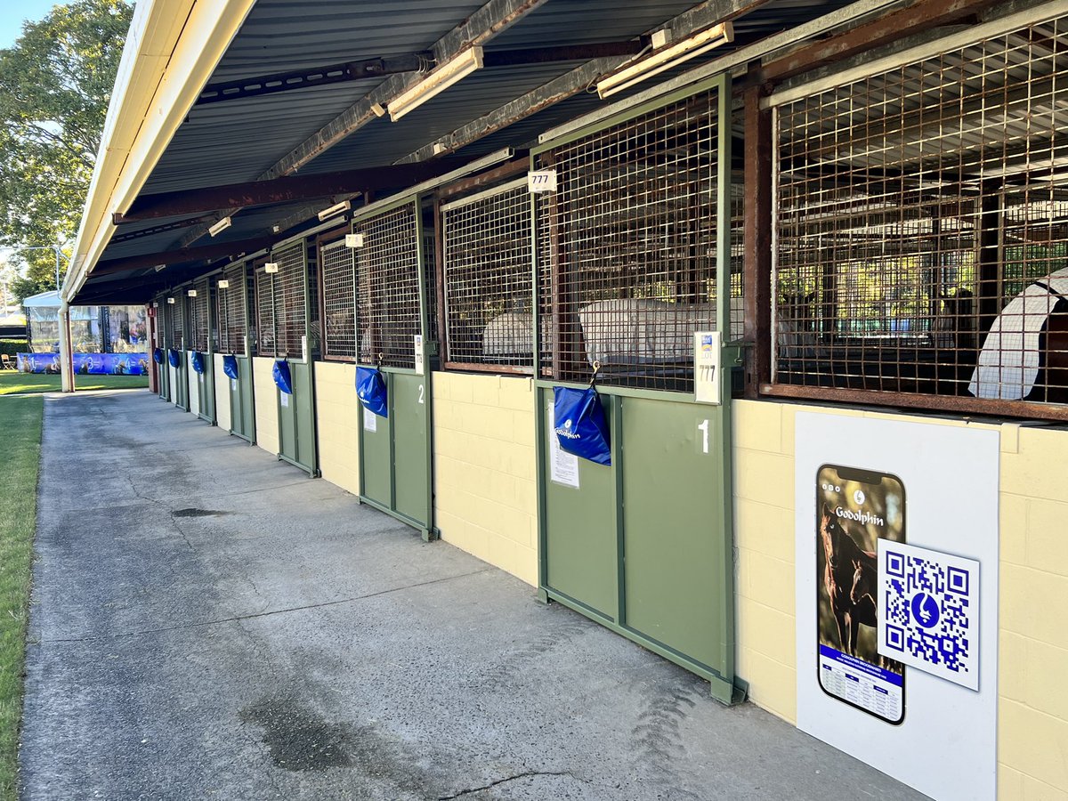 jasracing's tweet photo. Godolphin mares have arrived at the Gold Coast and ready for your inspections. https://t.co/KO5F7EORpg