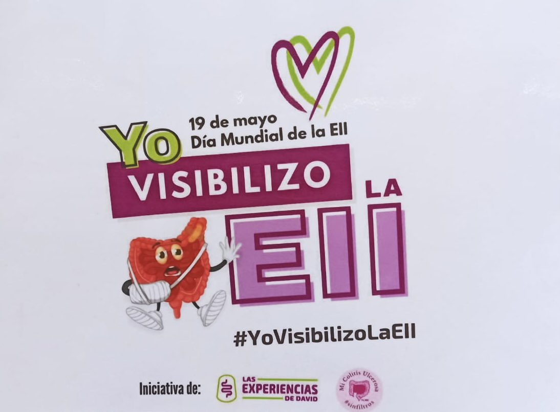 IBODI Group tweet media