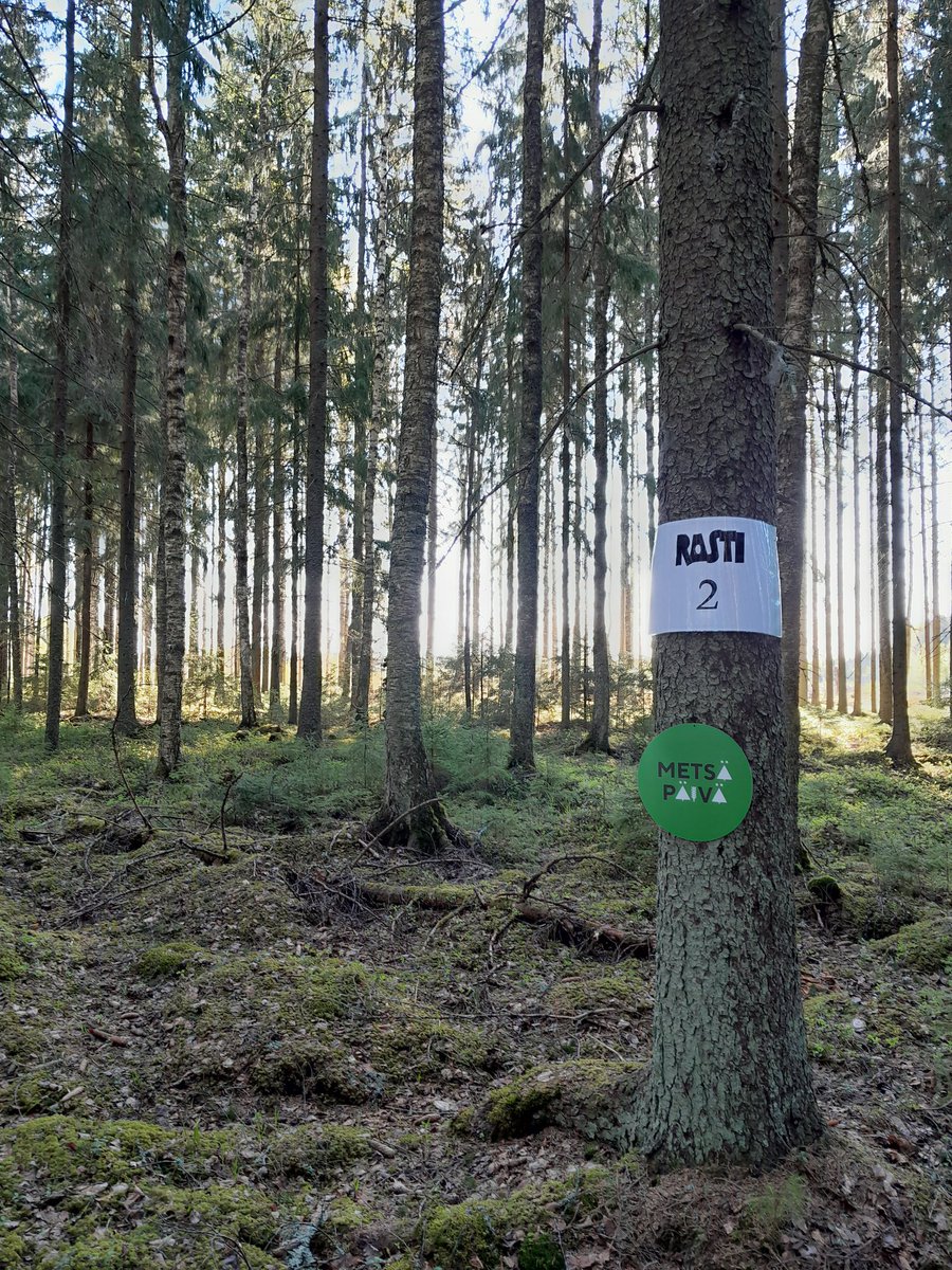 Kaikki on valmiina Someron yläkoululaisten metsäpäivään. Kohta paikalle pölähtää kaksi bussillista Someron yläkoululaisia. Mukana päivässä @4h, <a href="/MetsaGroup/">Metsä Group</a>, <a href="/LiviaCollege/">Ammattiopisto Livia</a> ja <a href="/metsakeskus/">Suomen metsäkeskus</a> 
#metsätutuksi  #nuoret