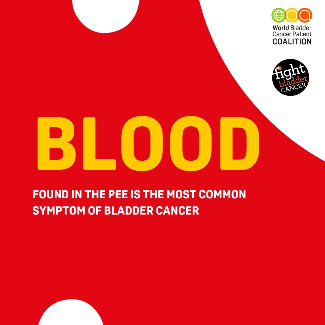 BladderCancerUK's tweet photo. This #Bladder CancerMonth2023, @WorldBladderCan aims to bring attention to the misrepresentation of symptoms and encourage people to re-evaluate their symptoms, as what they thought they saw may be something different.👇 https://t.co/Q0iFfyWkAo https://t.co/eTssAy6FHC