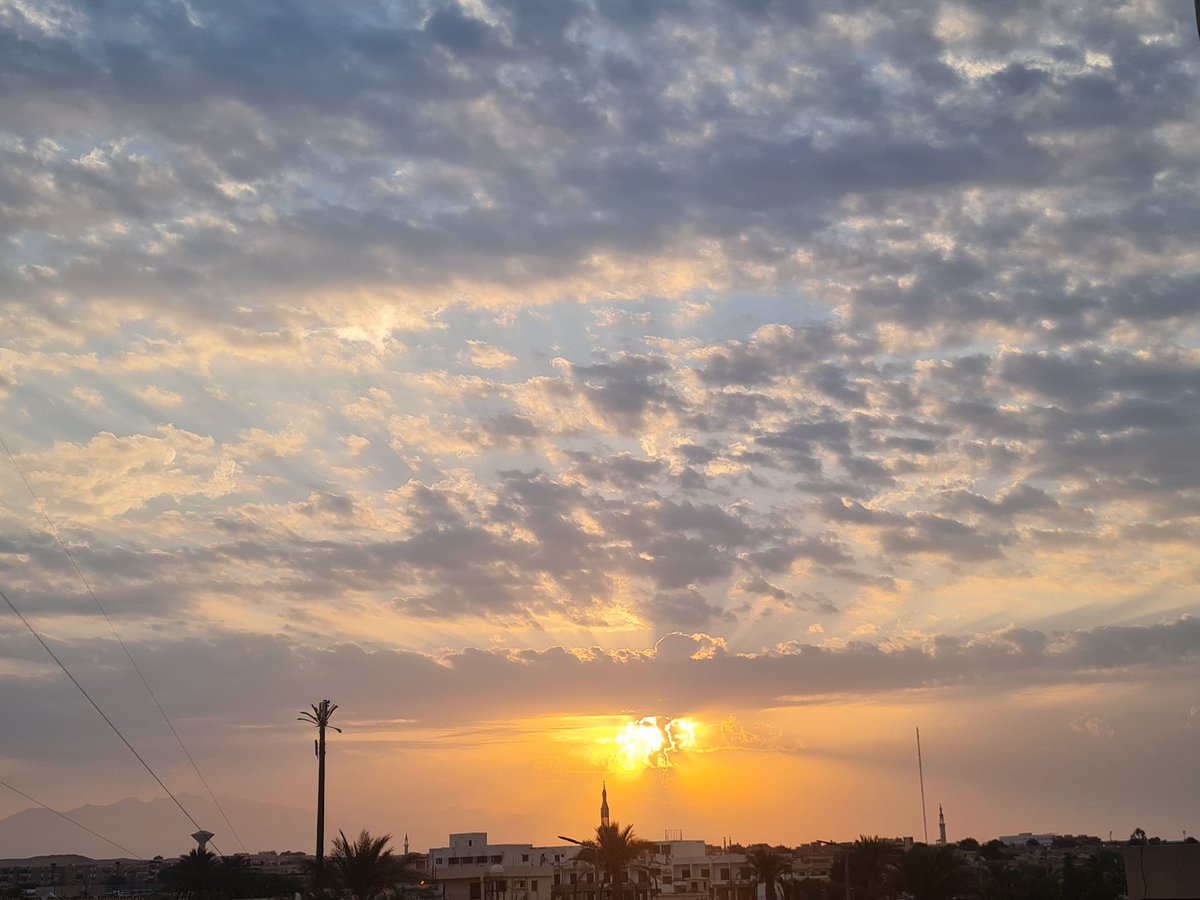 ShroukElshitany's tweet photo. Agree 🧡 https://t.co/ruhB3nHhzp